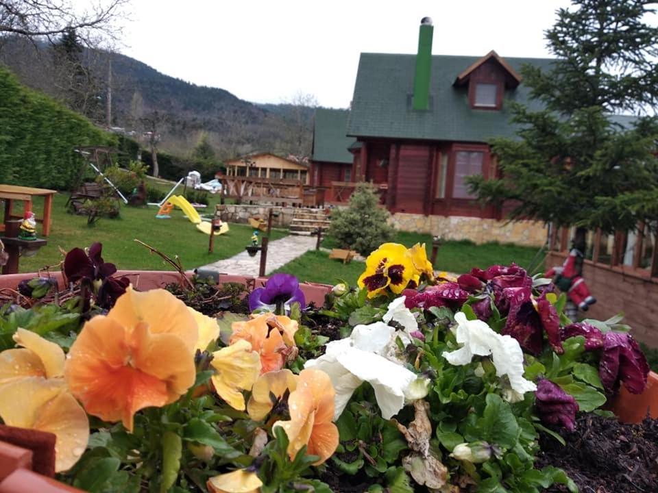 Kedra Village Kültér fotó