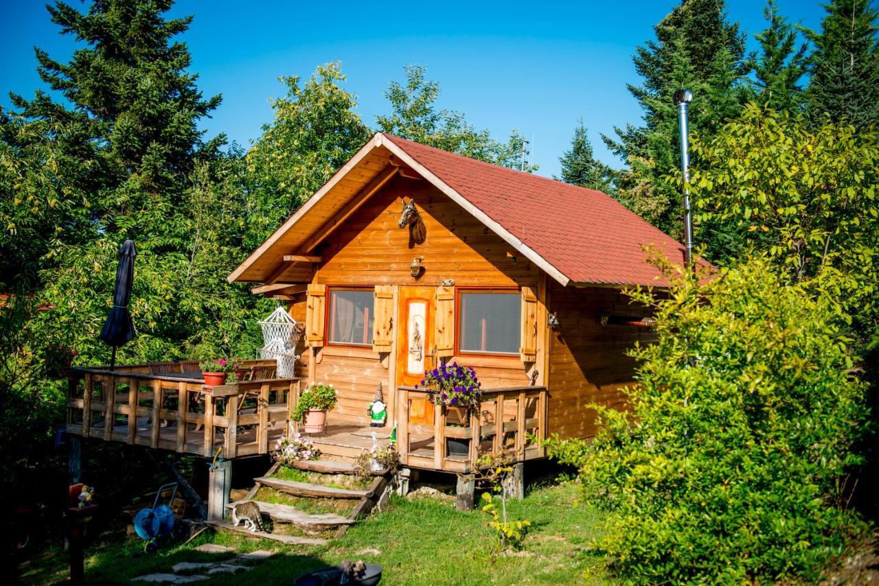 Kedra Village Kültér fotó