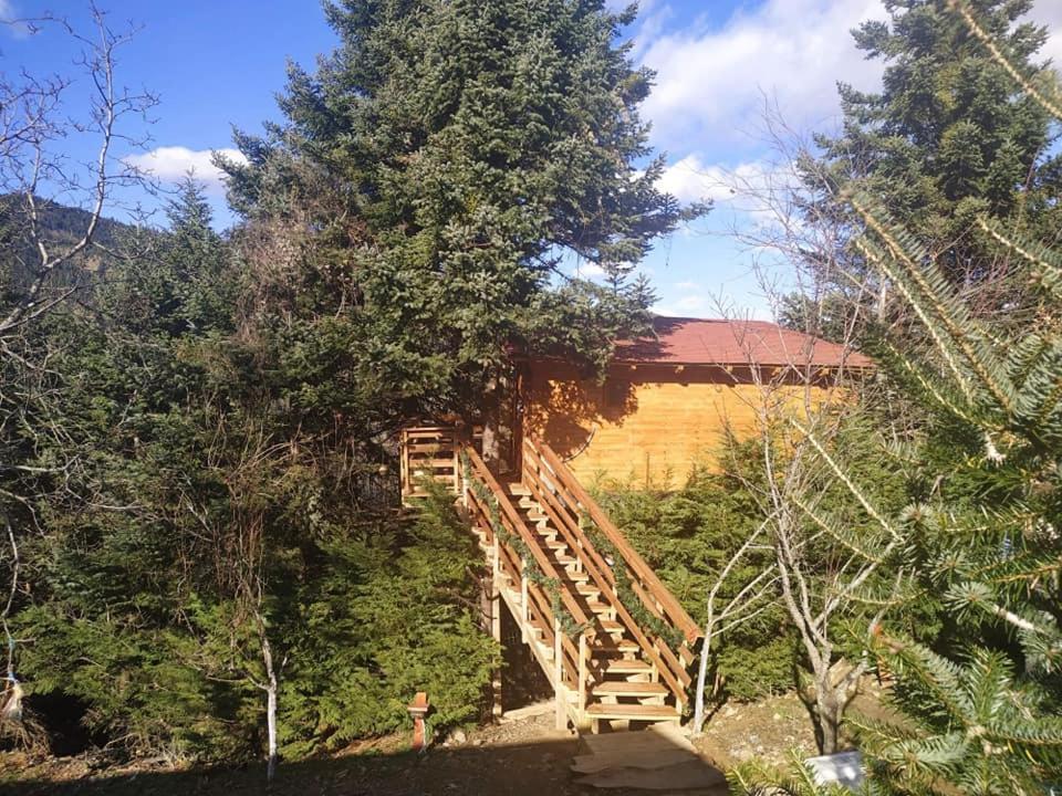 Kedra Village Kültér fotó